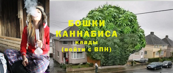 молекула духа Нея