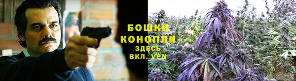 кокс Нефтекумск