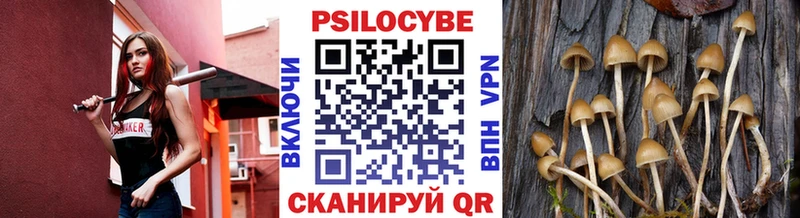 mega ССЫЛКА  Сальск  Псилоцибиновые грибы Psilocybe  наркошоп 