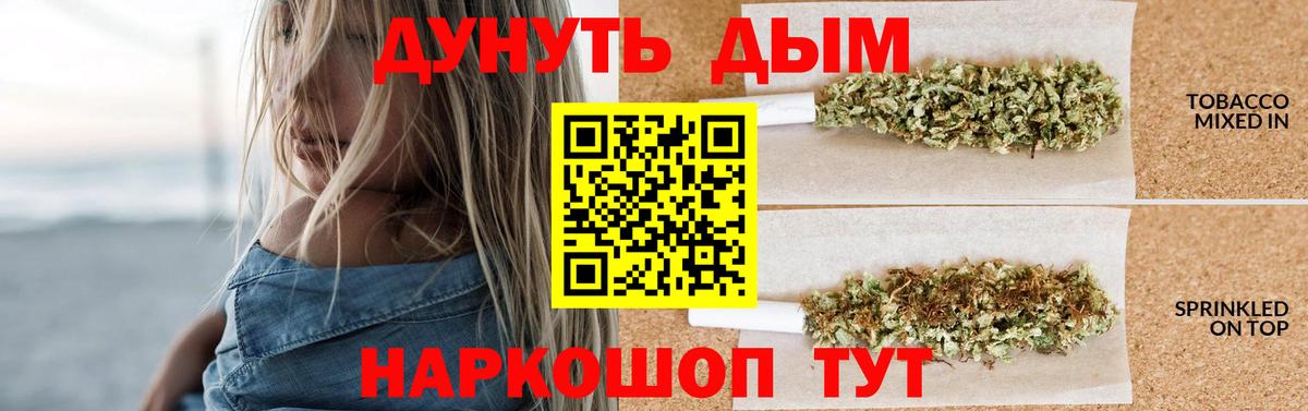 Бошки Шишки конопля  Бошки Шишки план  Вход с VPN  МАРИХУАНА планчик  Сальск 